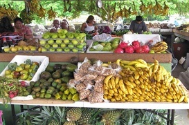 Farmer's Market Cayo District Belize – Best Places In The World To Retire – International Living